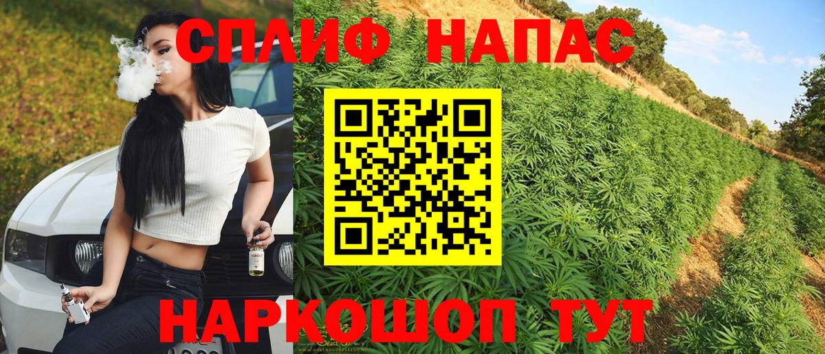 Канабис Bruce Banner Ливны